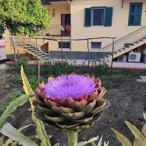 Antoniet Bed & Breakfast Naples